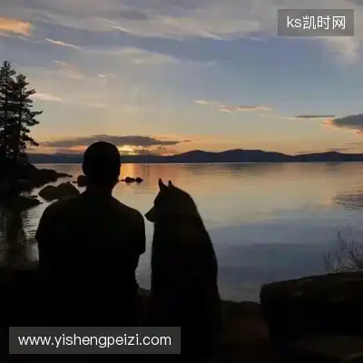 范河洋